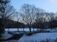 雪の朝・黎明の公園