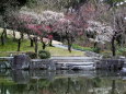 早春の公園風景