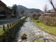 城下町春の清流