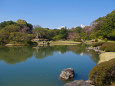 六義園・大泉水と日本庭園