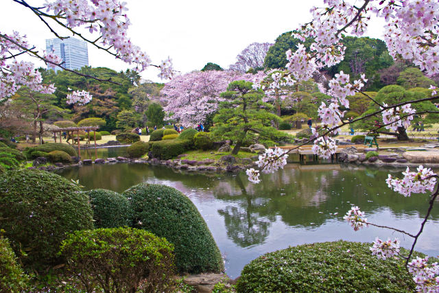 春の新宿御苑