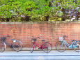 赤煉瓦の壁と自転車