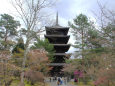 仁和寺・春の花と五重塔