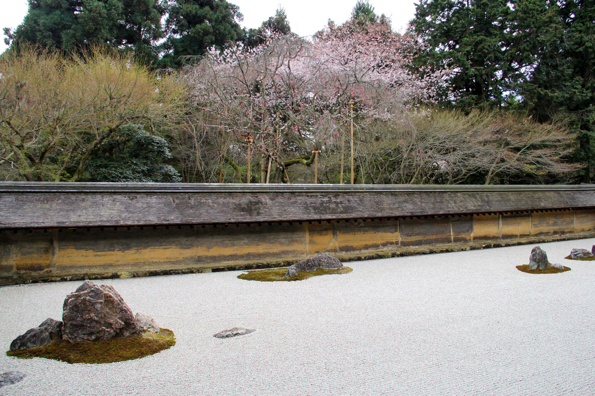 日本の風景 龍安寺 石庭と桜 壁紙19x1280 壁紙館