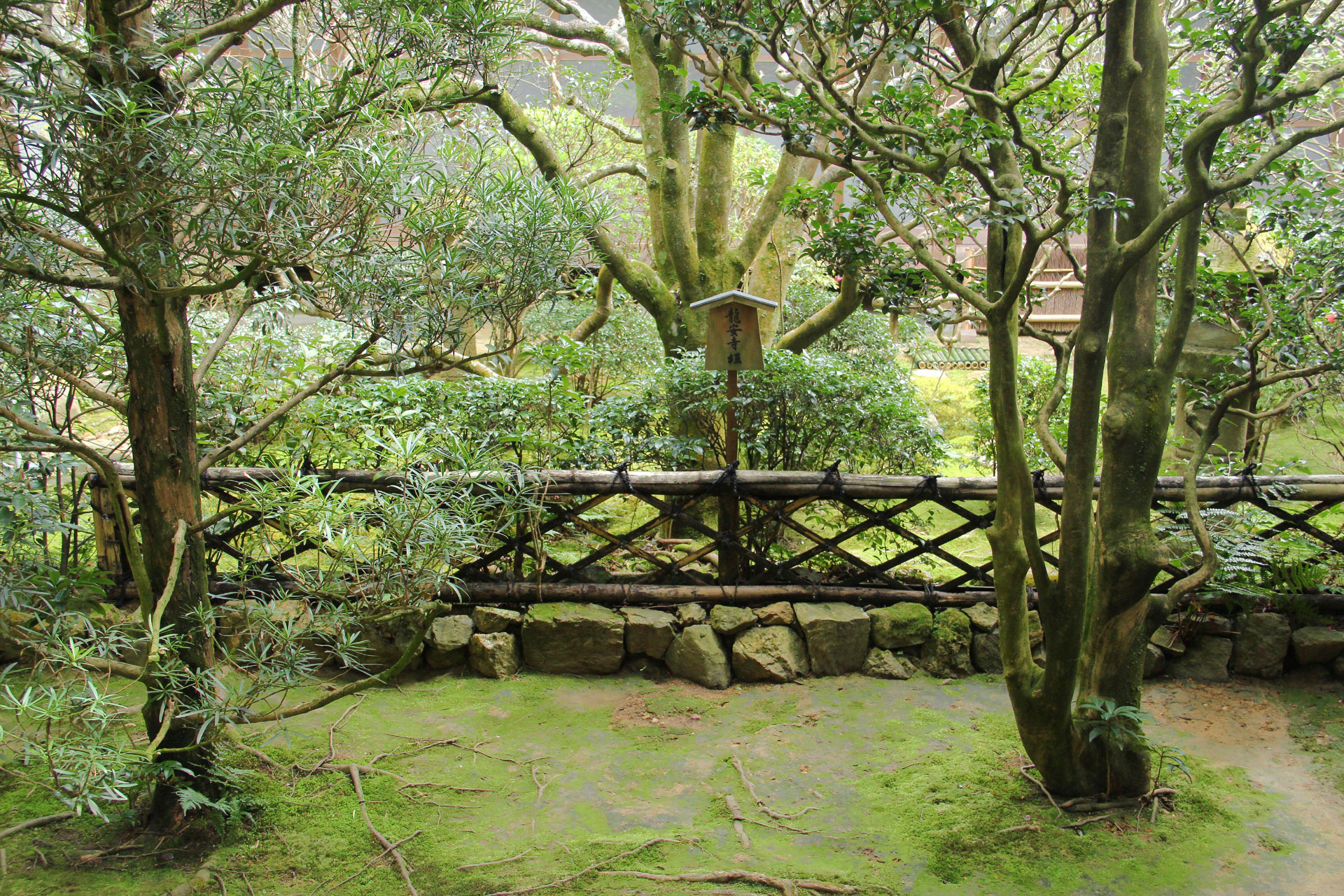 日本の風景 龍安寺 庭の龍安寺垣 壁紙19x1280 壁紙館