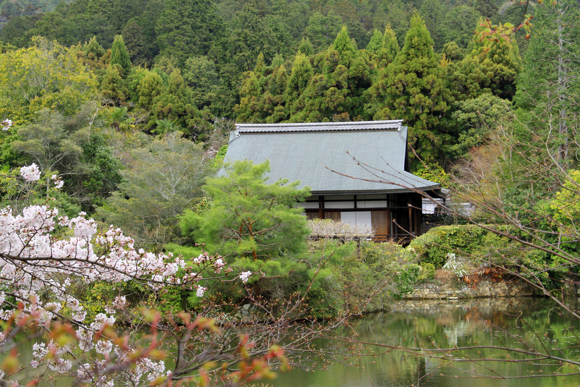 日本の風景 龍安寺 大珠院春景 壁紙19x1280 壁紙館