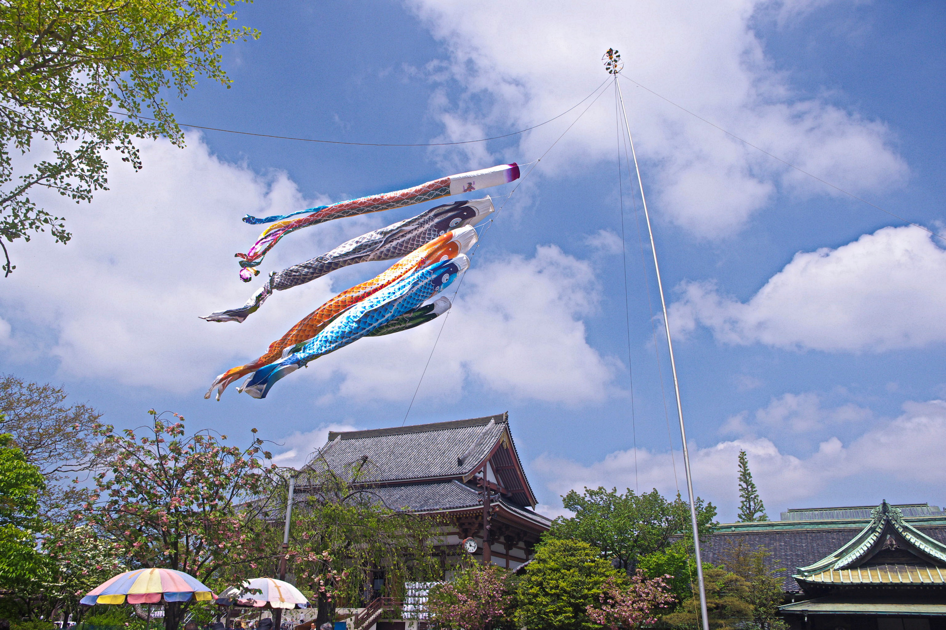 日本の風景 西新井大師本堂と鯉のぼり 壁紙19x1280 壁紙館