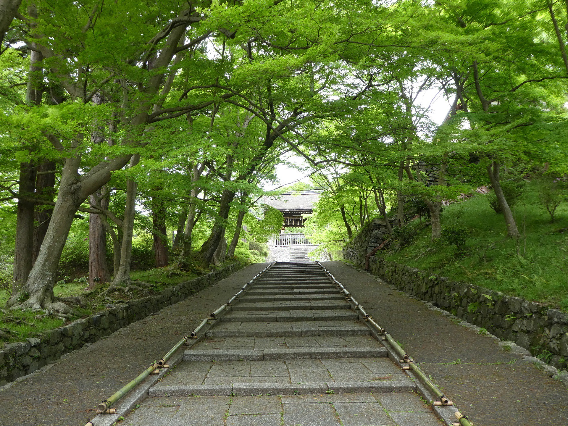 日本の風景 毘沙門堂 青もみじ 壁紙19x1440 壁紙館