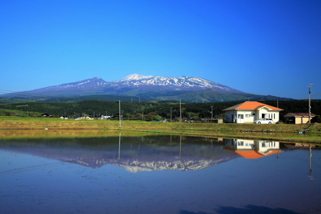今の時期しか見られない風景