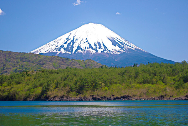 西湖・根場浜からの富士