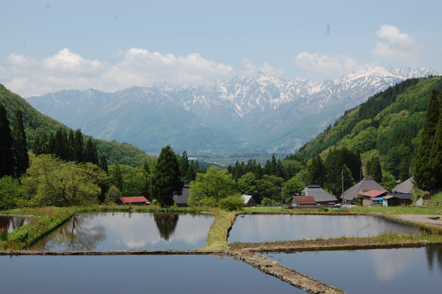 久しぶりの再会・青鬼