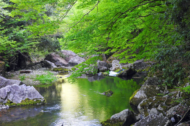 春の三段峡15