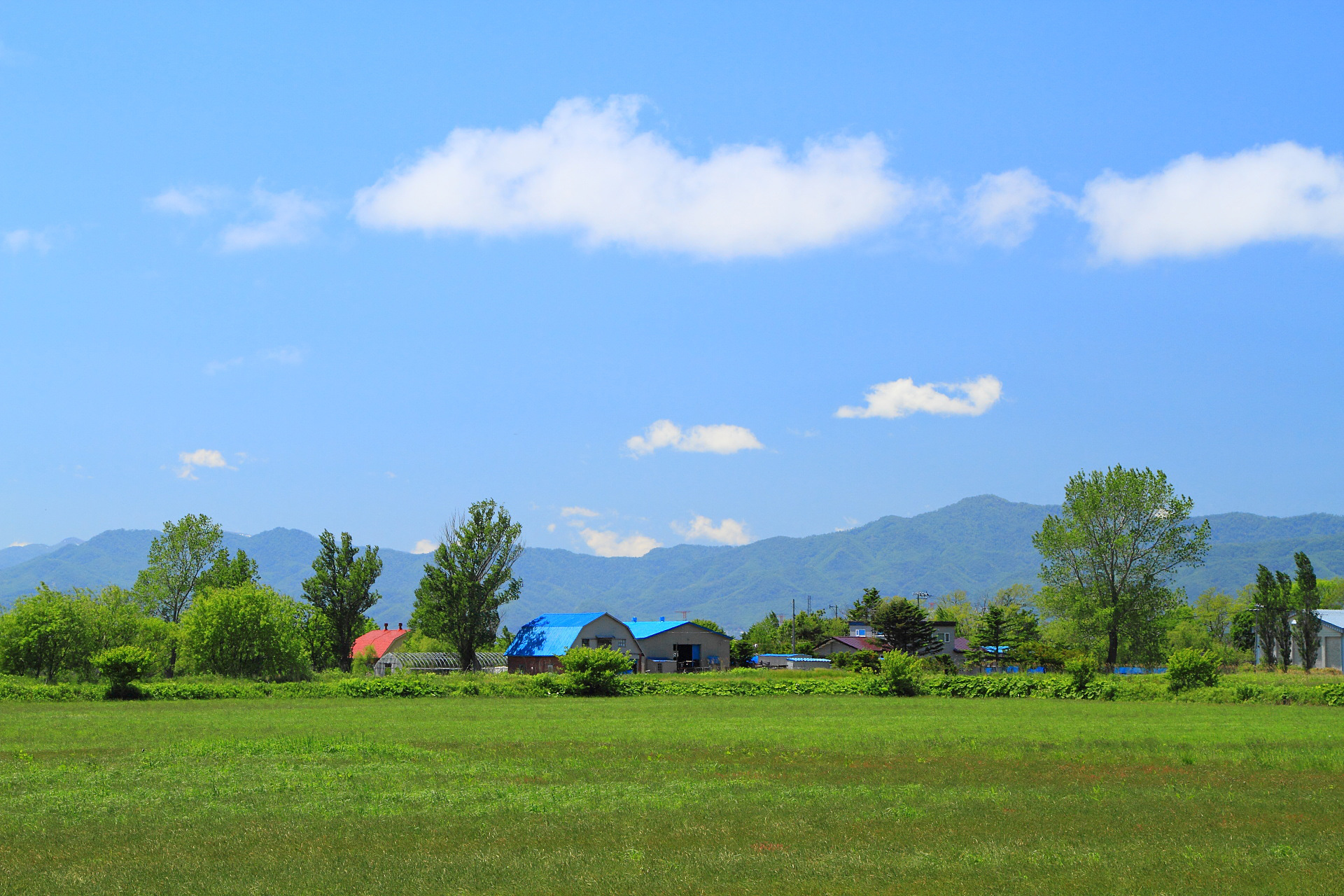 ミニ 細心の 独立した 初夏 の 風景 壁紙 Kagoshima Koutekibyoin Jp