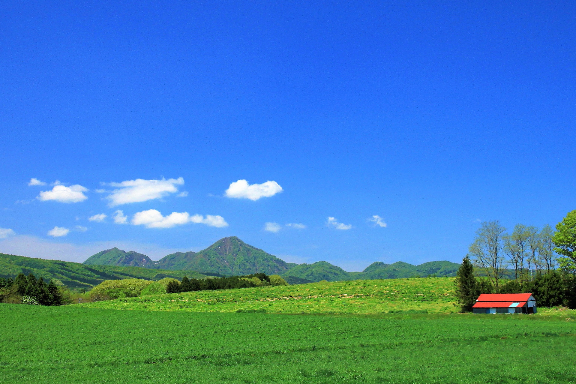 日本の風景 初夏の草原 壁紙19x1280 壁紙館