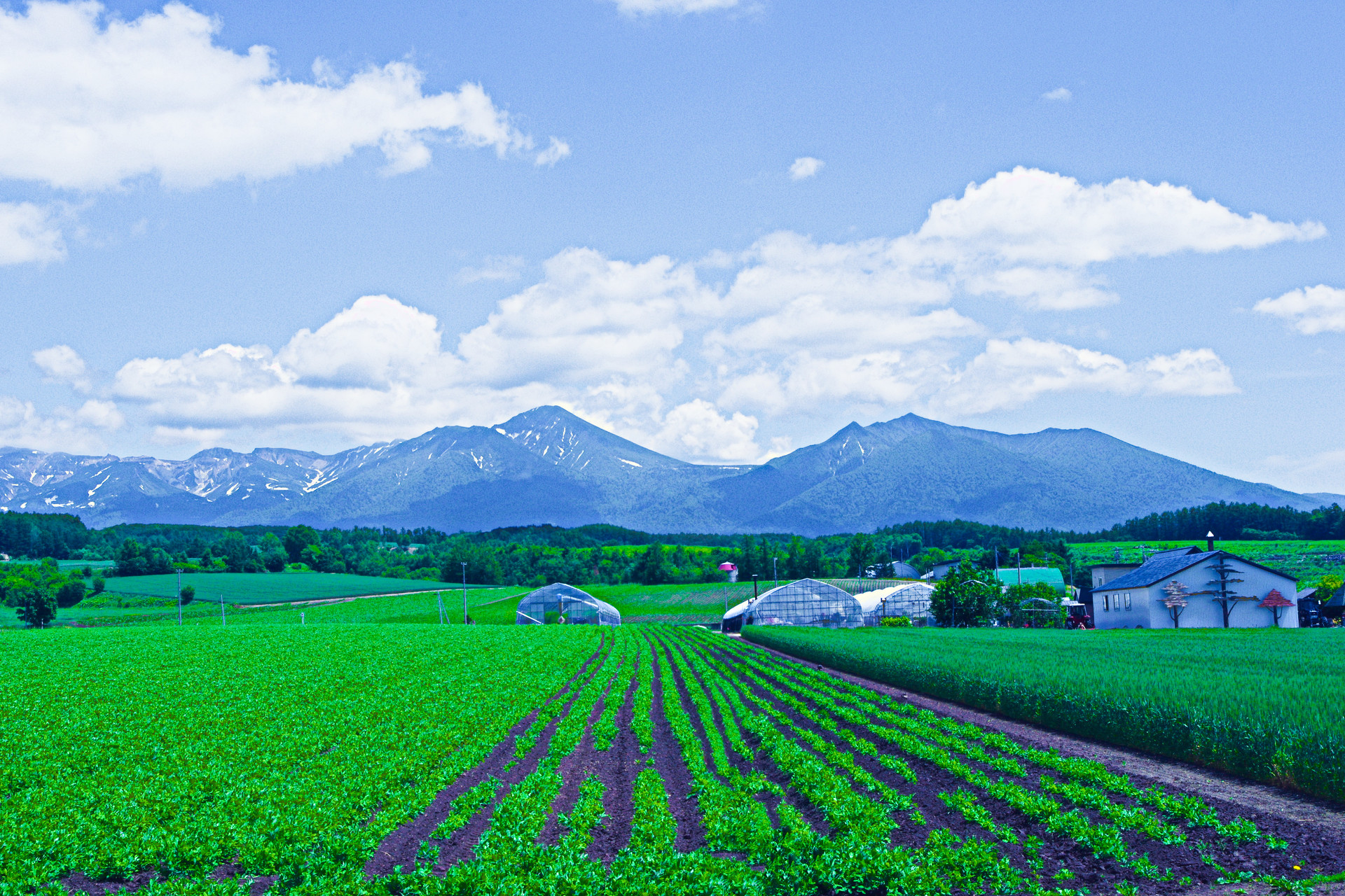 日本の風景 富良野 初夏の風景 壁紙19x1280 壁紙館