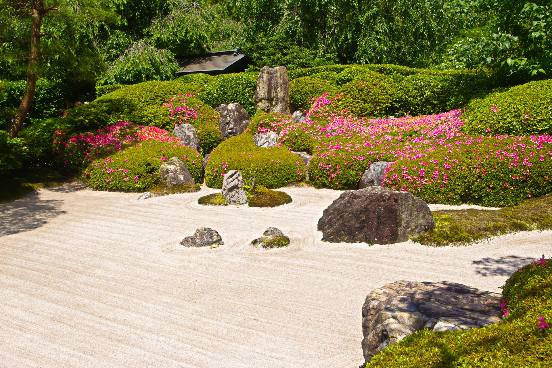 日本の風景 明月院 枯山水庭園 壁紙19x1280 壁紙館