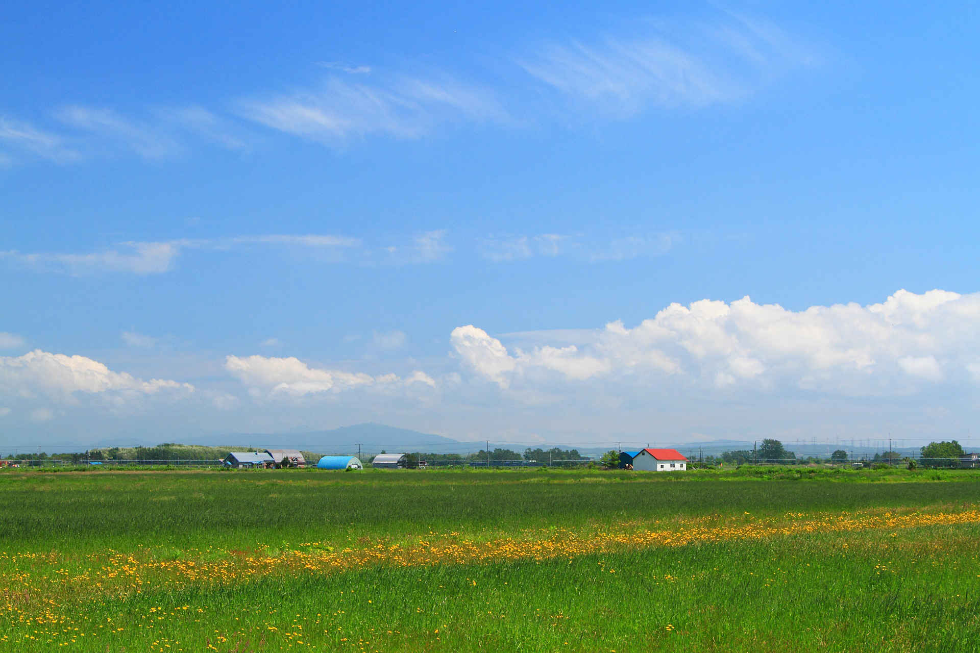 日本の風景 爽やか夏雲の石狩平野 壁紙19x1280 壁紙館