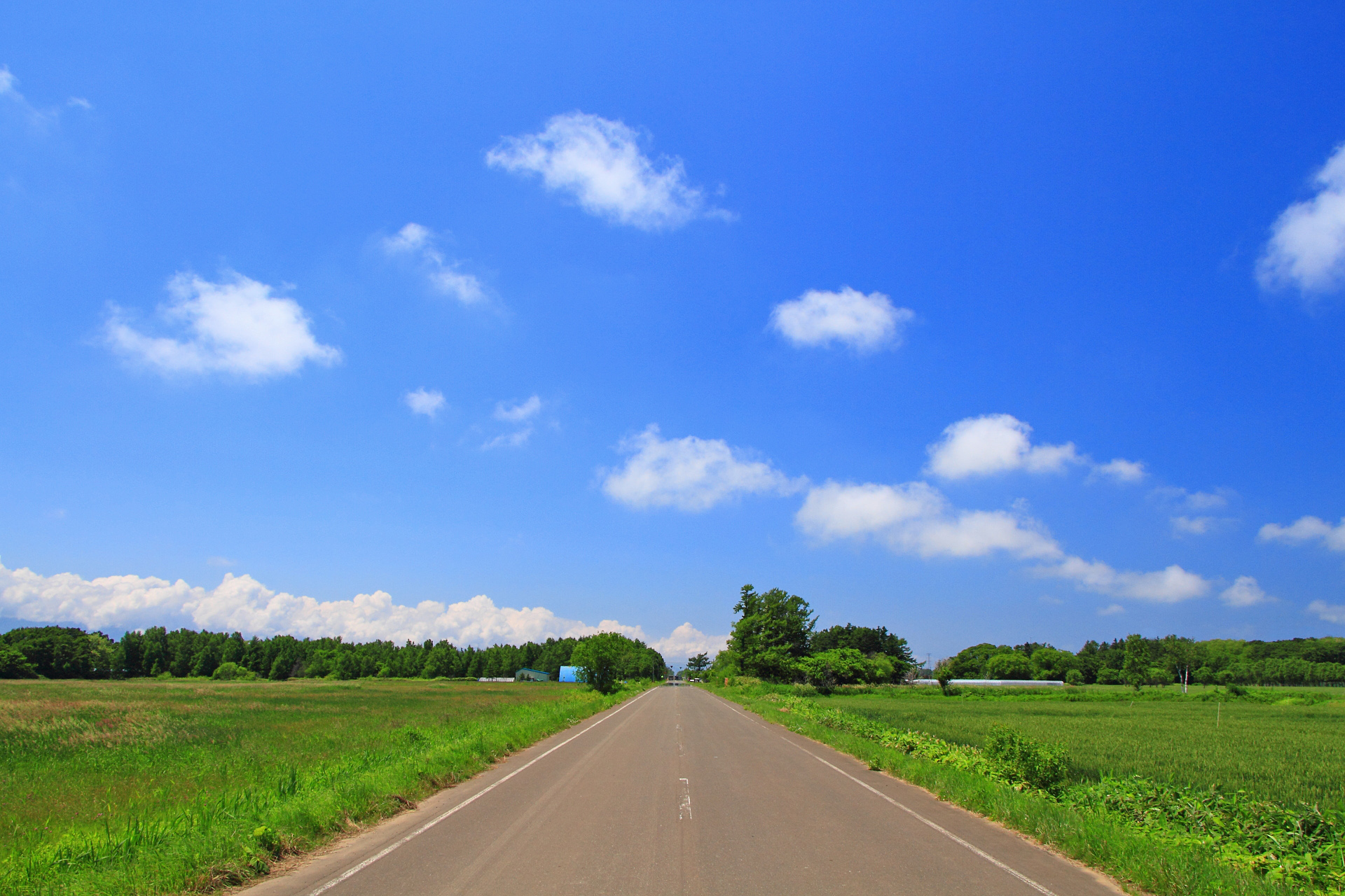 日本の風景 まっすぐ石狩初夏の道 壁紙19x1280 壁紙館 日本の風景 まっすぐ石狩初夏の道 壁紙19x1280 壁紙館