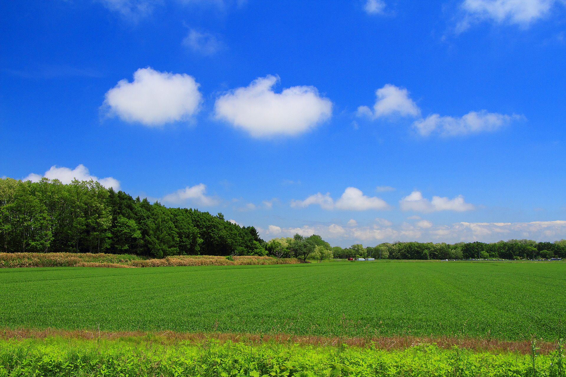 日本の風景 綿雲浮かぶ北の初夏 壁紙19x1280 壁紙館 日本の風景 綿雲浮かぶ北の初夏 壁紙19x1280 壁紙館