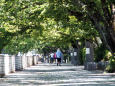 犬山城下の歩道