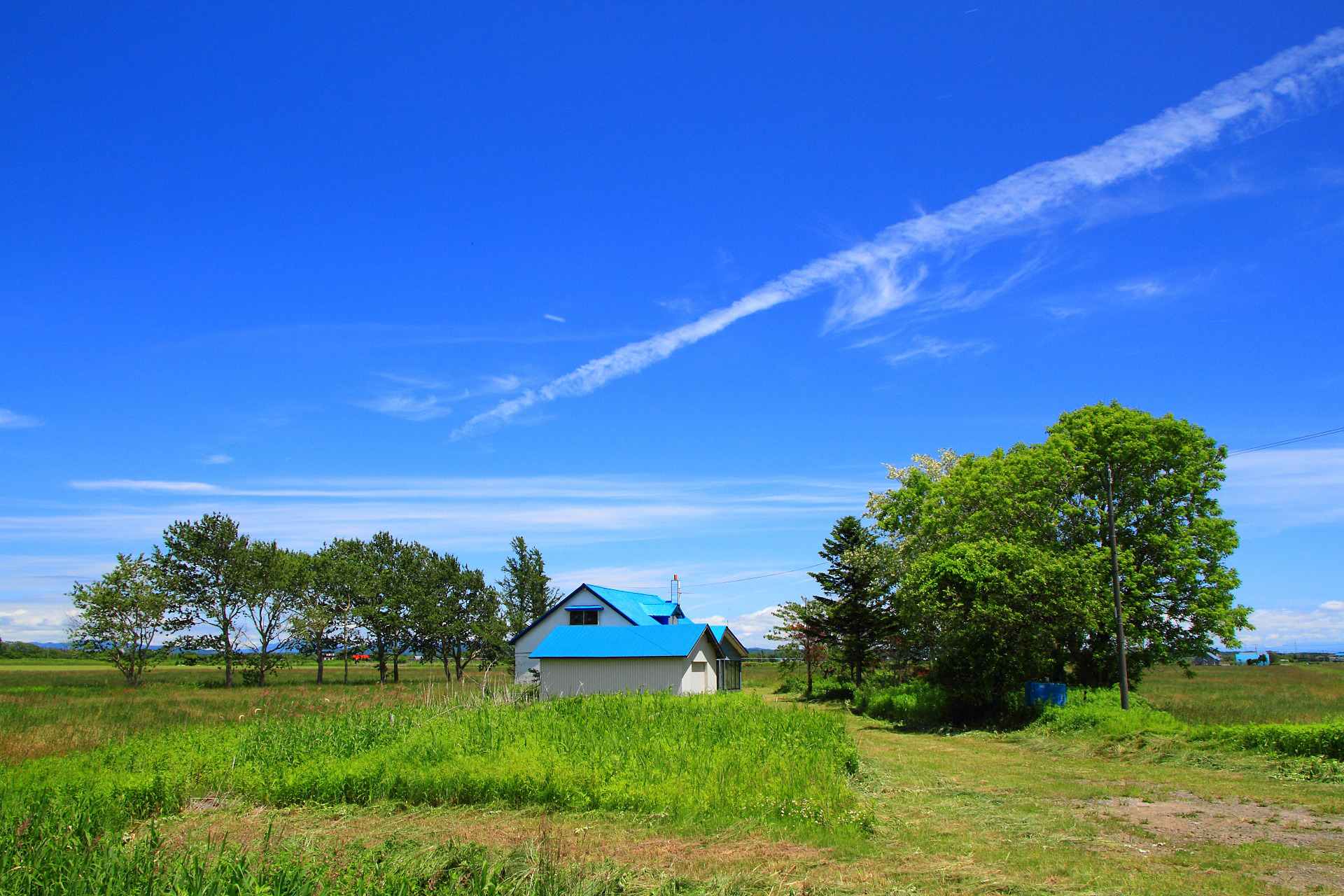 日本の風景 初夏の石狩原風景 2 壁紙19x1280 壁紙館