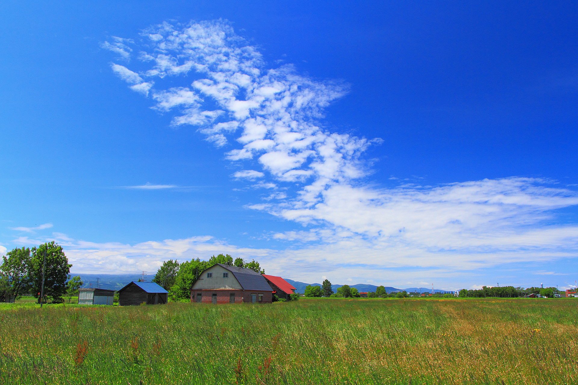 日本の風景 石狩 夏空風景 壁紙19x1280 壁紙館