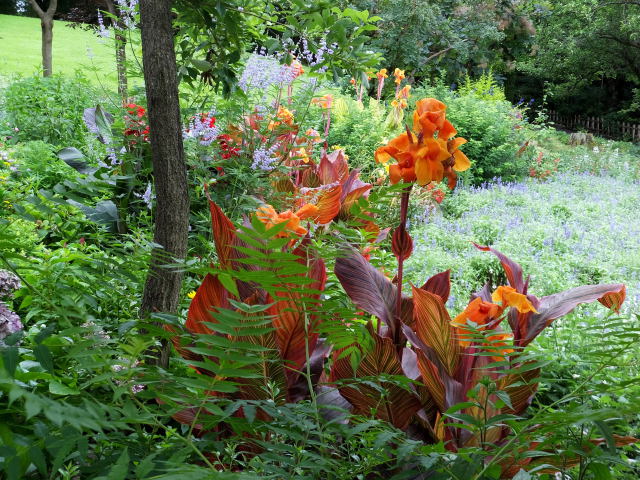 緑の中に咲いて