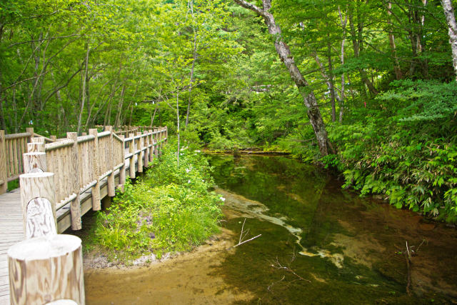 上高地・遊歩道からの眺め