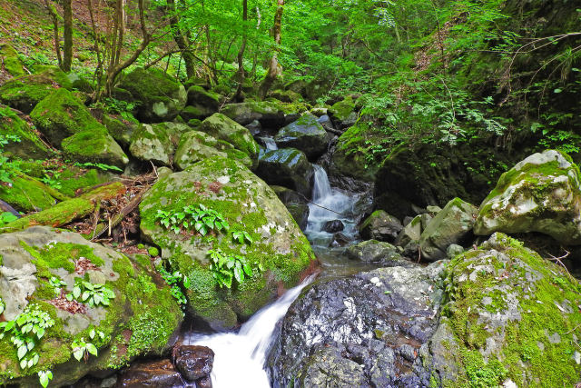 天滝渓谷18