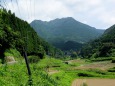 八幡岳山麓で