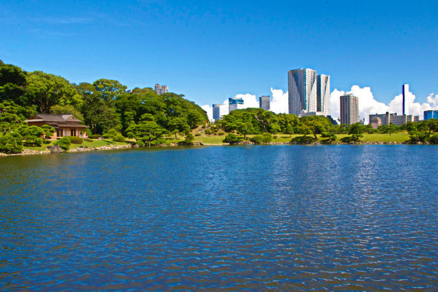 夏の浜離宮恩賜庭園