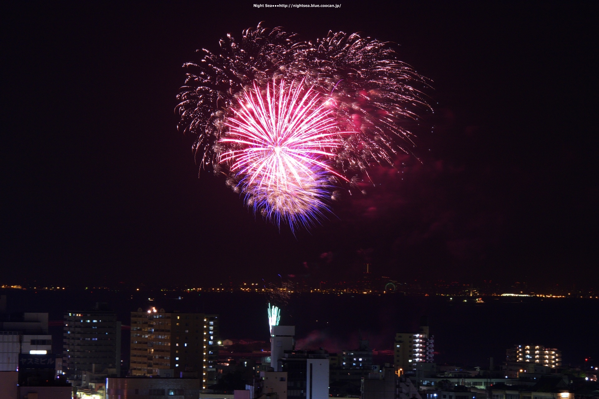 夜景 花火 イルミ ハートのような花火 壁紙19x1280 壁紙館