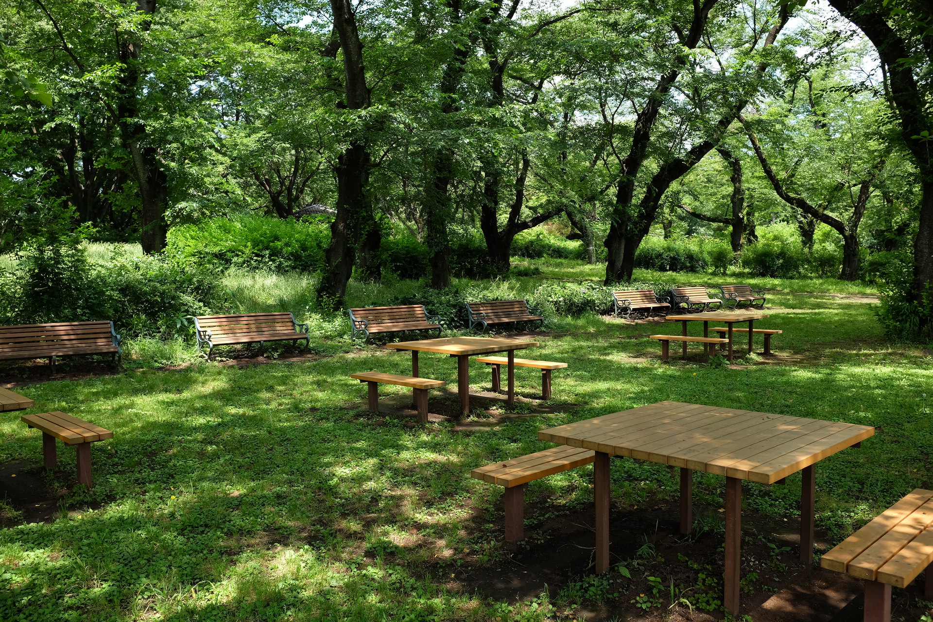 日本の風景 緑の癒し 壁紙19x1280 壁紙館