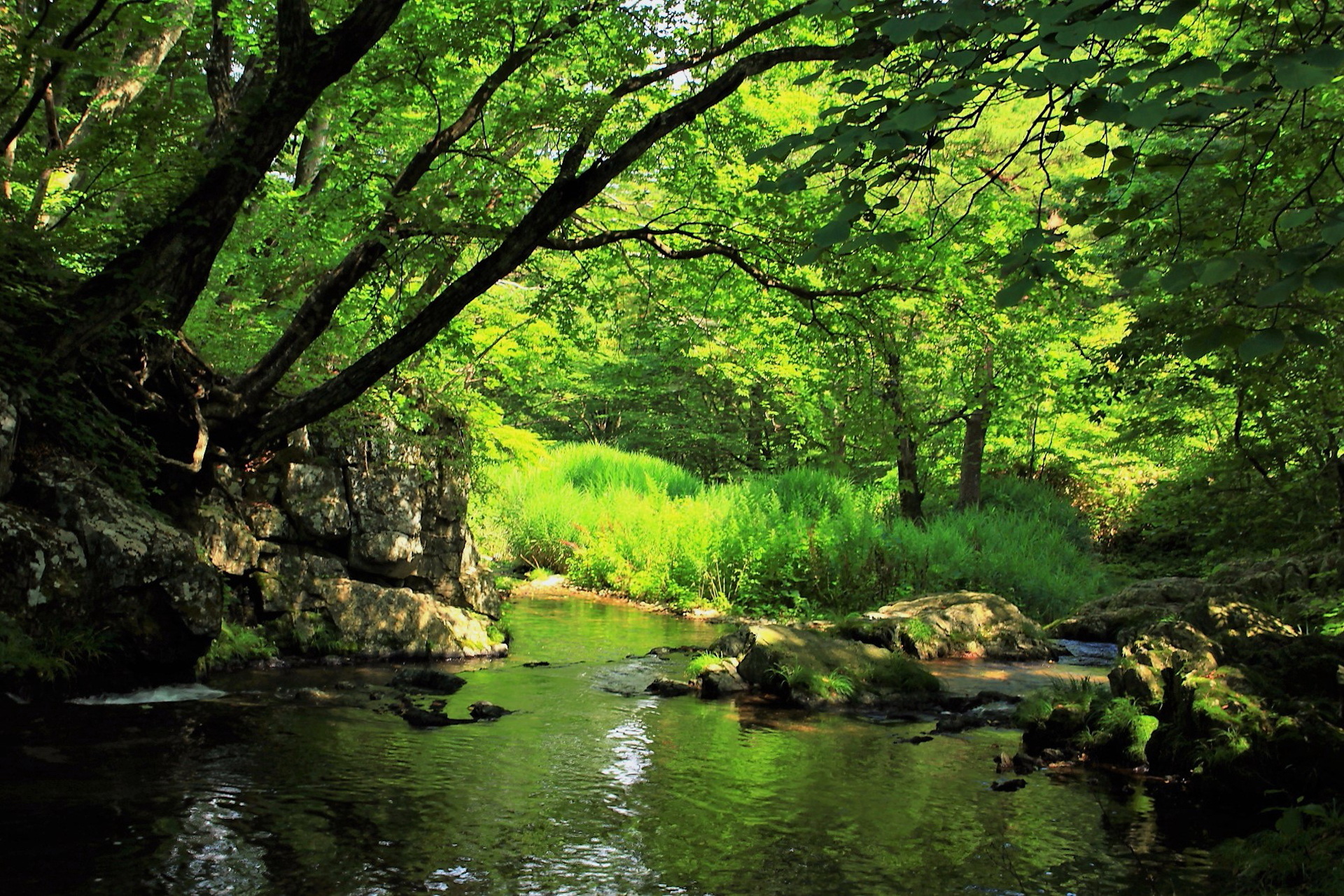 日本の風景 涼しい水辺 壁紙19x1280 壁紙館