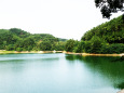 美鈴湖の夏
