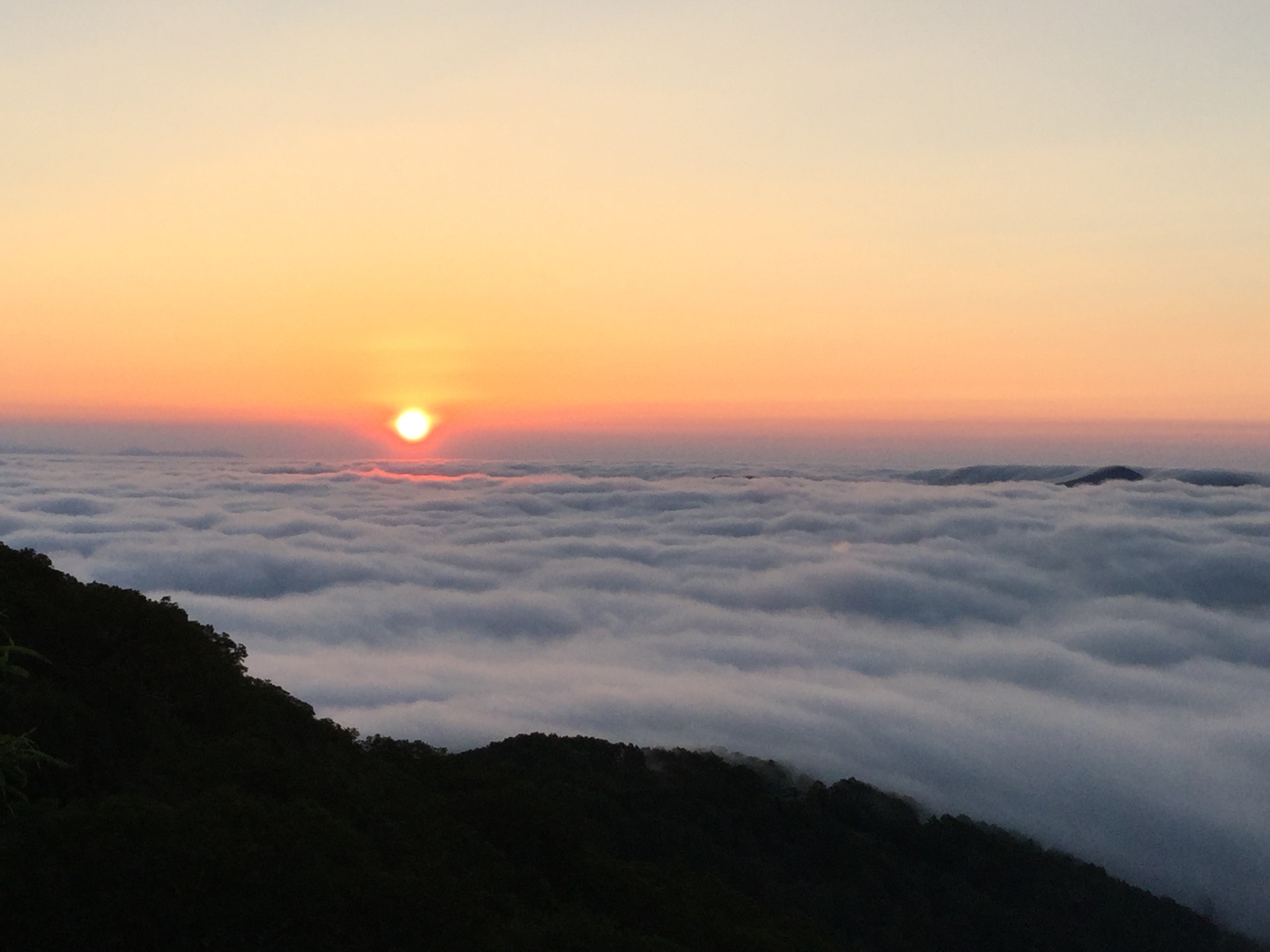 日本の風景 トマムの雲海 壁紙19x1440 壁紙館