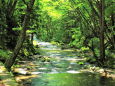 RndList[3]