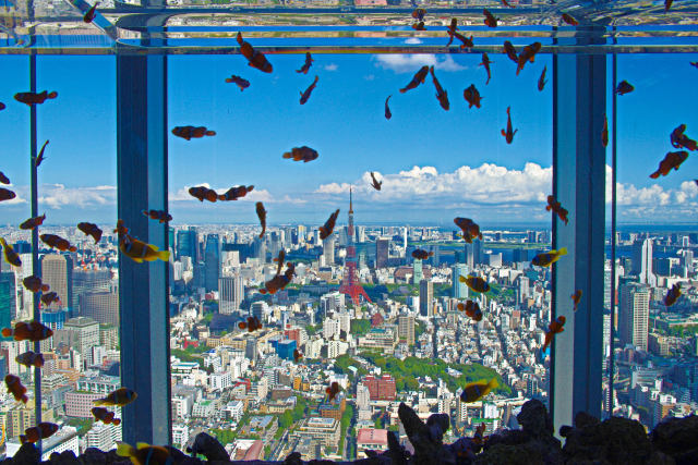 東京の空を泳ぐ魚たち