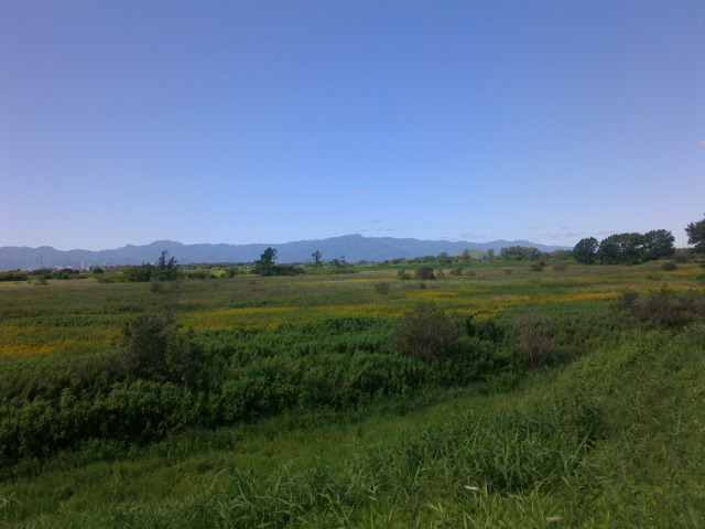 サッポロアルプス 晩夏