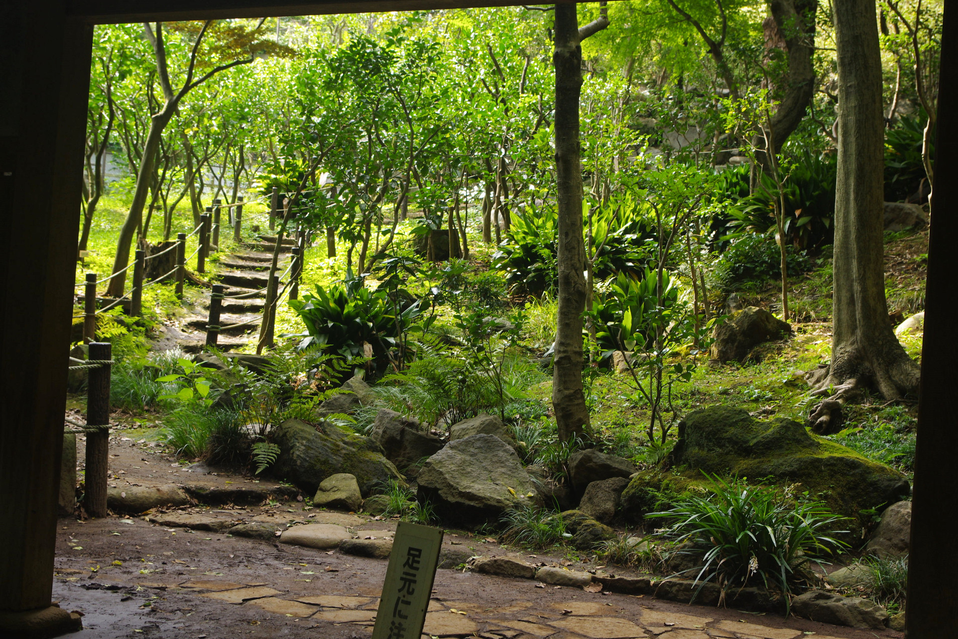 日本の風景 等々力渓谷の日本庭園 壁紙19x1280 壁紙館