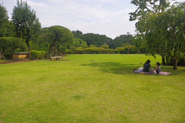 等々力渓谷の日本庭園