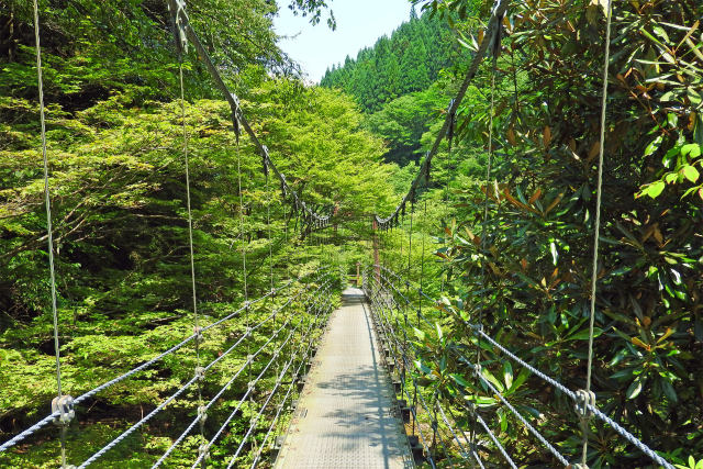 波賀不動滝渓谷-吊り橋