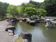夏の終わりの日本庭園