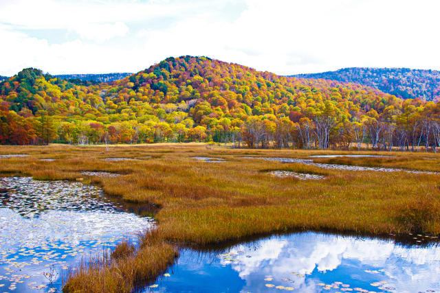 秋色の尾瀬