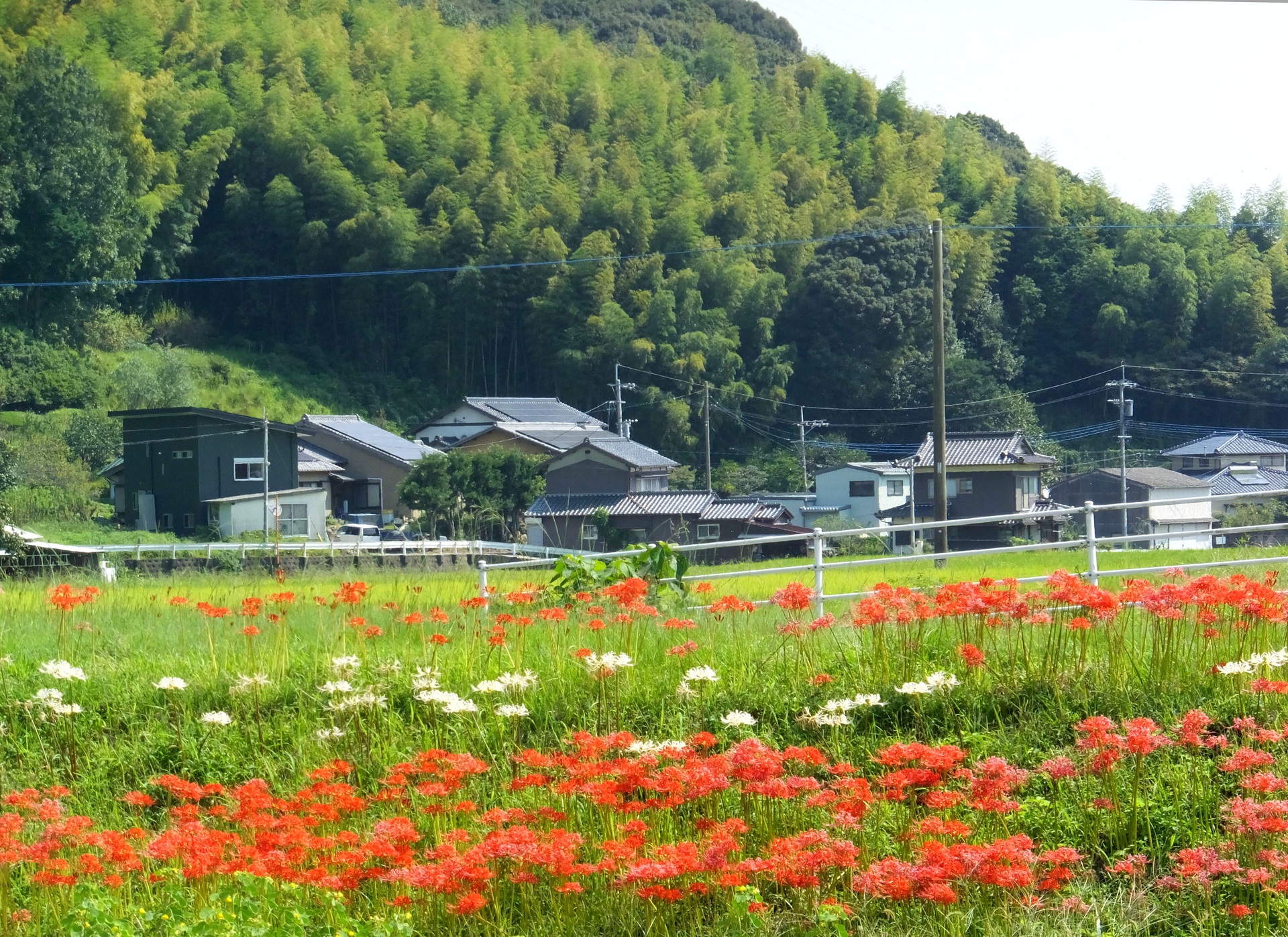 日本の風景 田舎の秋 壁紙19x1398 壁紙館