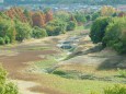 渇水の光明池