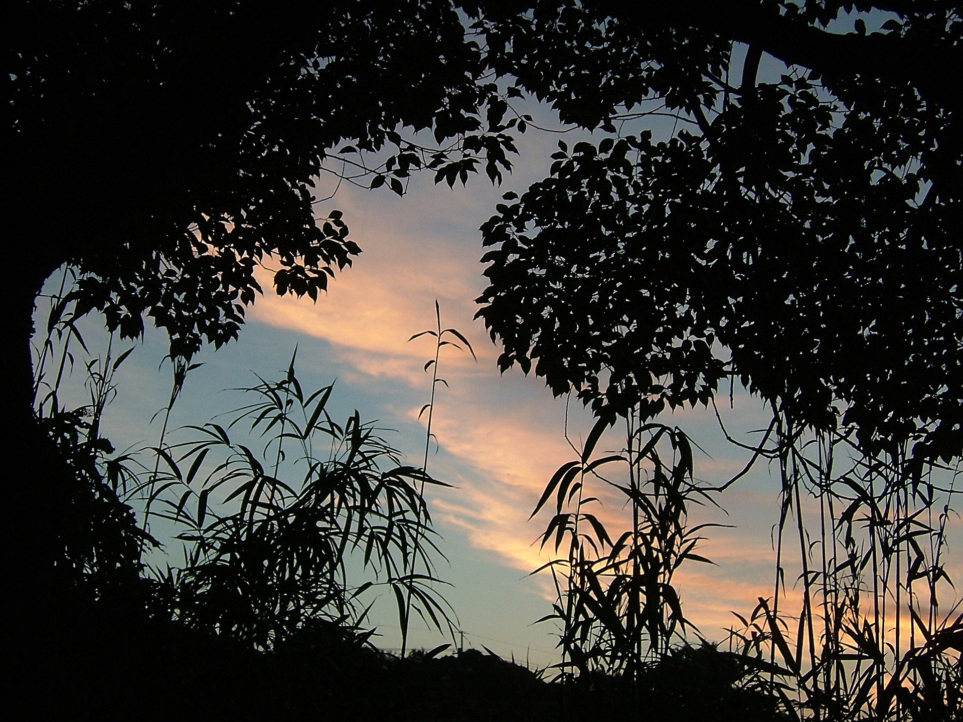 日本の風景 夏の夕方 壁紙19x1440 壁紙館