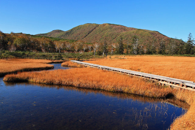 ニセコ神仙沼～朝の秋色池塘