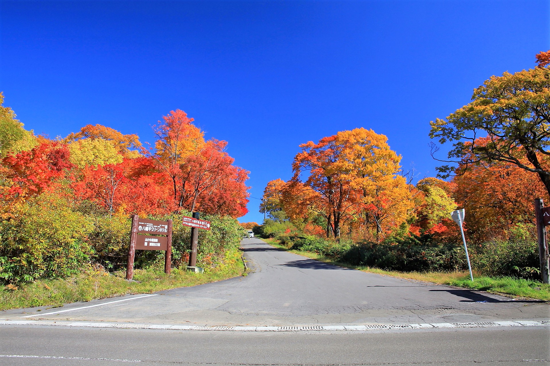 日本の風景 美しい紅葉の季節 壁紙19x1280 壁紙館