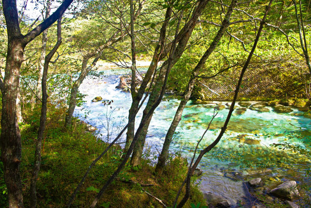 上高地・田代橋付近の梓川